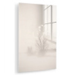 Boom - Mist - Sneeuw - Winter - Minimalistisch plexiglas 5mm klein -zzzproduct_nieuw