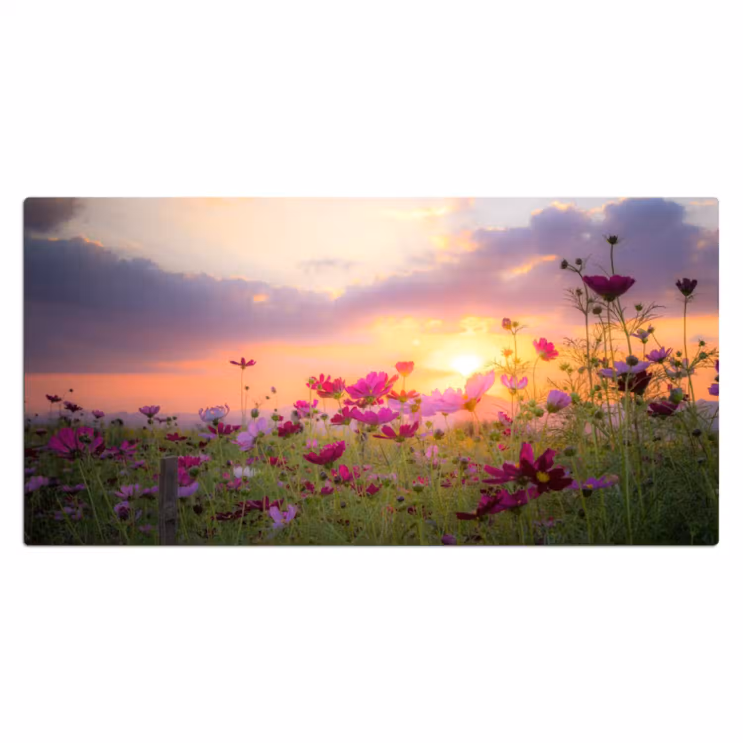 Bureau onderlegger - bloemen-roze-zonsondergang-natuur-weide-horizon