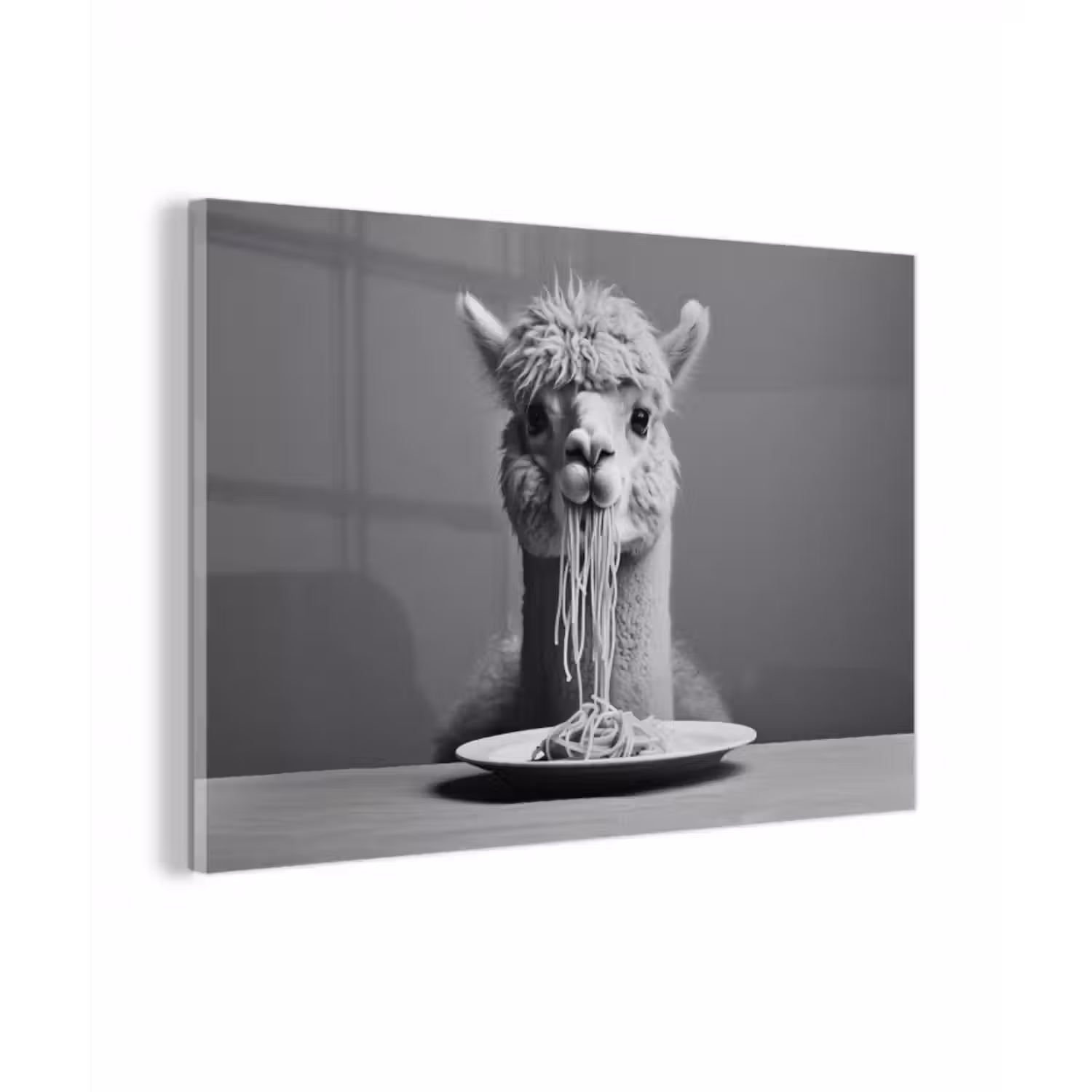Glasbild - Alpaka - Nudeln - Schwarz - Weiß - Lustig - Tiere