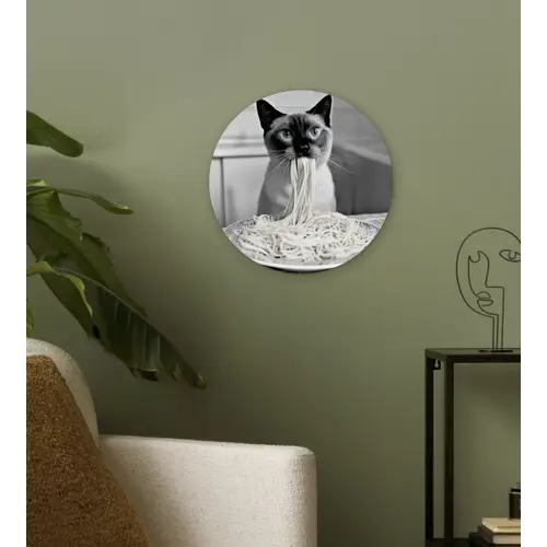 Kat - Siamees - Zwart Wit - Schattig - Dieren Wandcirkel kunststof plaat 5mm dik klein -sfeer3