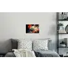 Witte vos - wolken - maan Muursticker klein -slaapkamer