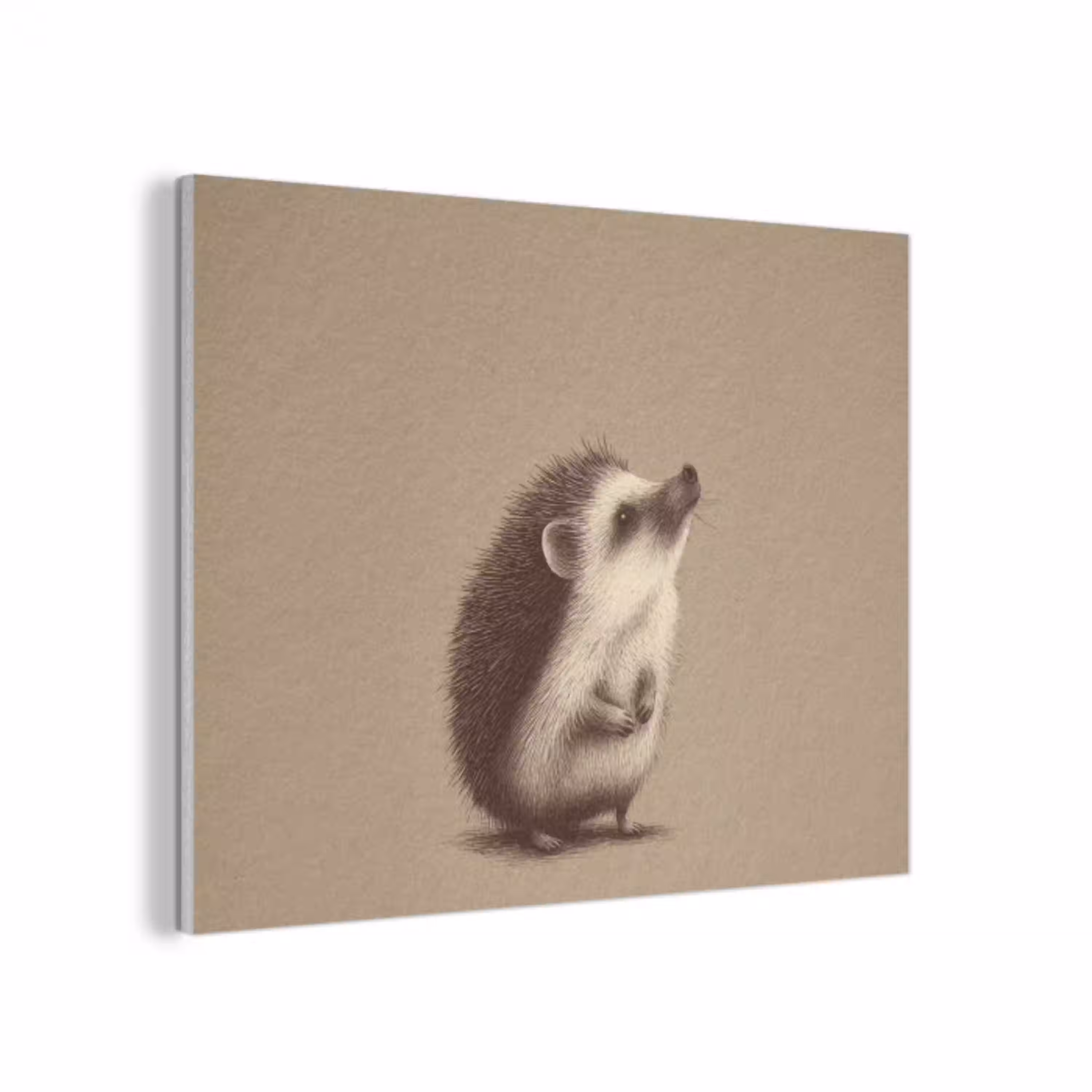 Egel - Snuitje - Bruin - Stekels PET vilt klein -3d