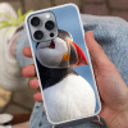 Papegaaiduiker - Portret - Natuur Hoesje iPhone 16 Pro Max met koord klein -sfeer3
