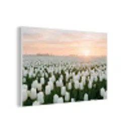 Tulpen - Landschap - Wit forex 5mm xxl -3d