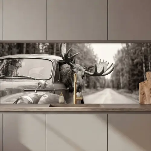 Eland - Auto - Gewei - Zwart - Wit keuken achterwand 2 middel zz_3dshopping