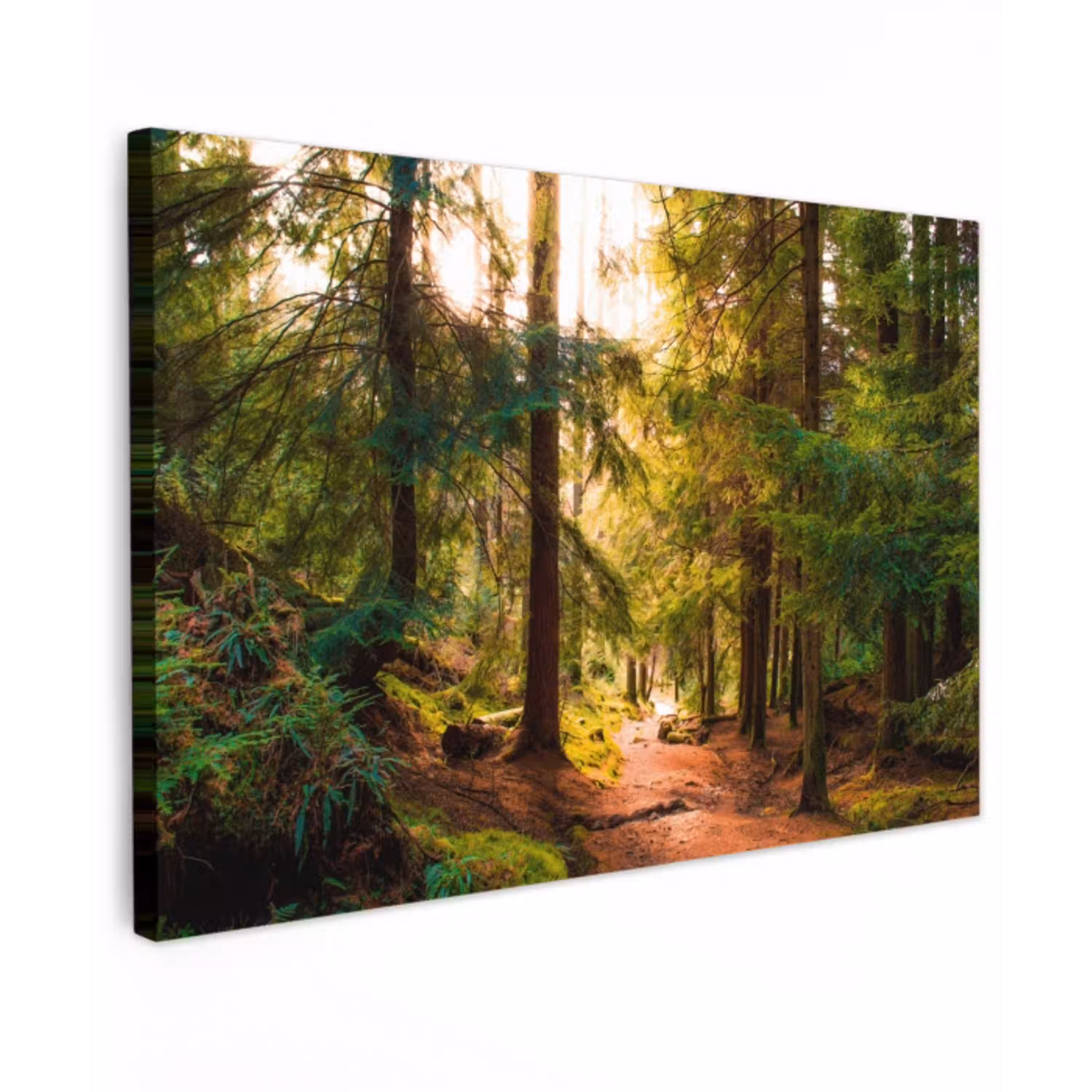 Mossig bospad Tuinposter op houten frame 2 cm dik klein -3d
