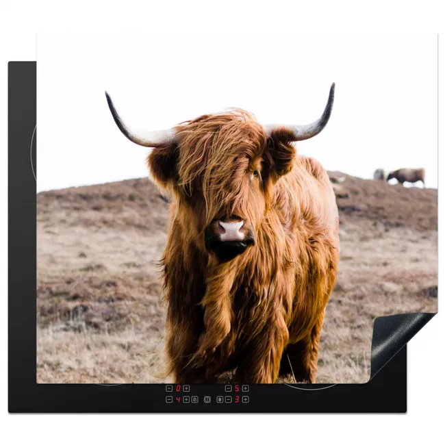 Wachter van de Hooglanden Inductie beschermer vinyl 3mm middel -3d