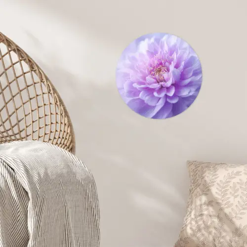 Paars - Dahlia - Dromerig Wandcirkel behangsticker klein -sfeer4
