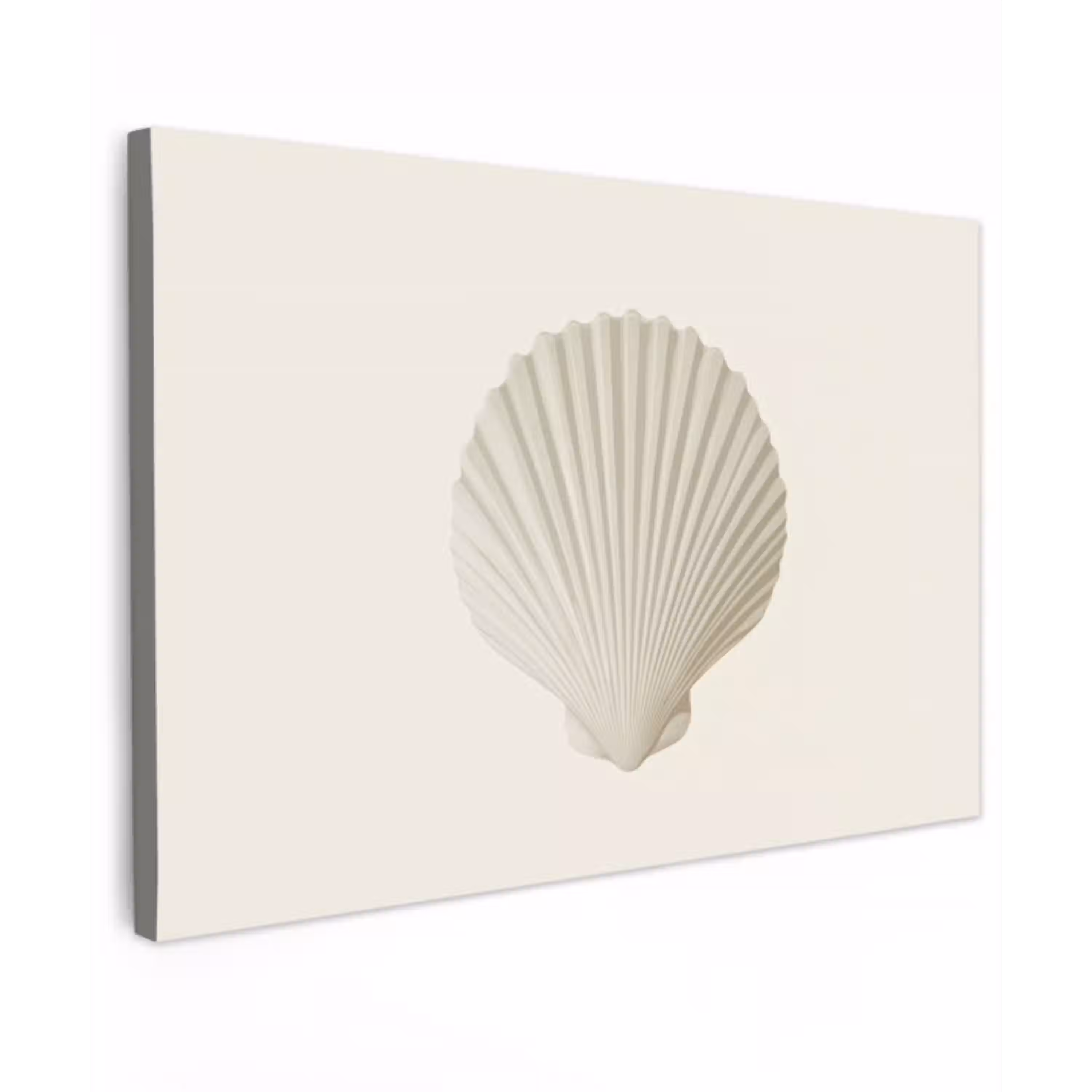 Schelp - Minimalistisch - Wit Tuinposter op houten frame 2 cm dik klein -3d