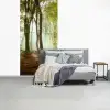 Bos - Zon - Seizoenen - Landschap fotobehang vinyl groot -slaapkamer