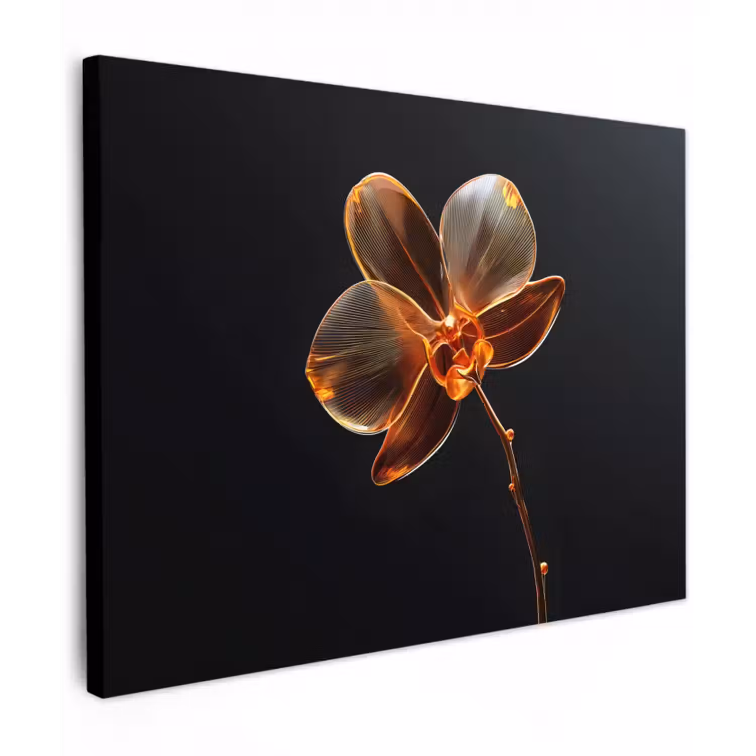 Leinwandbild - Orchidee - Transparent - Blume