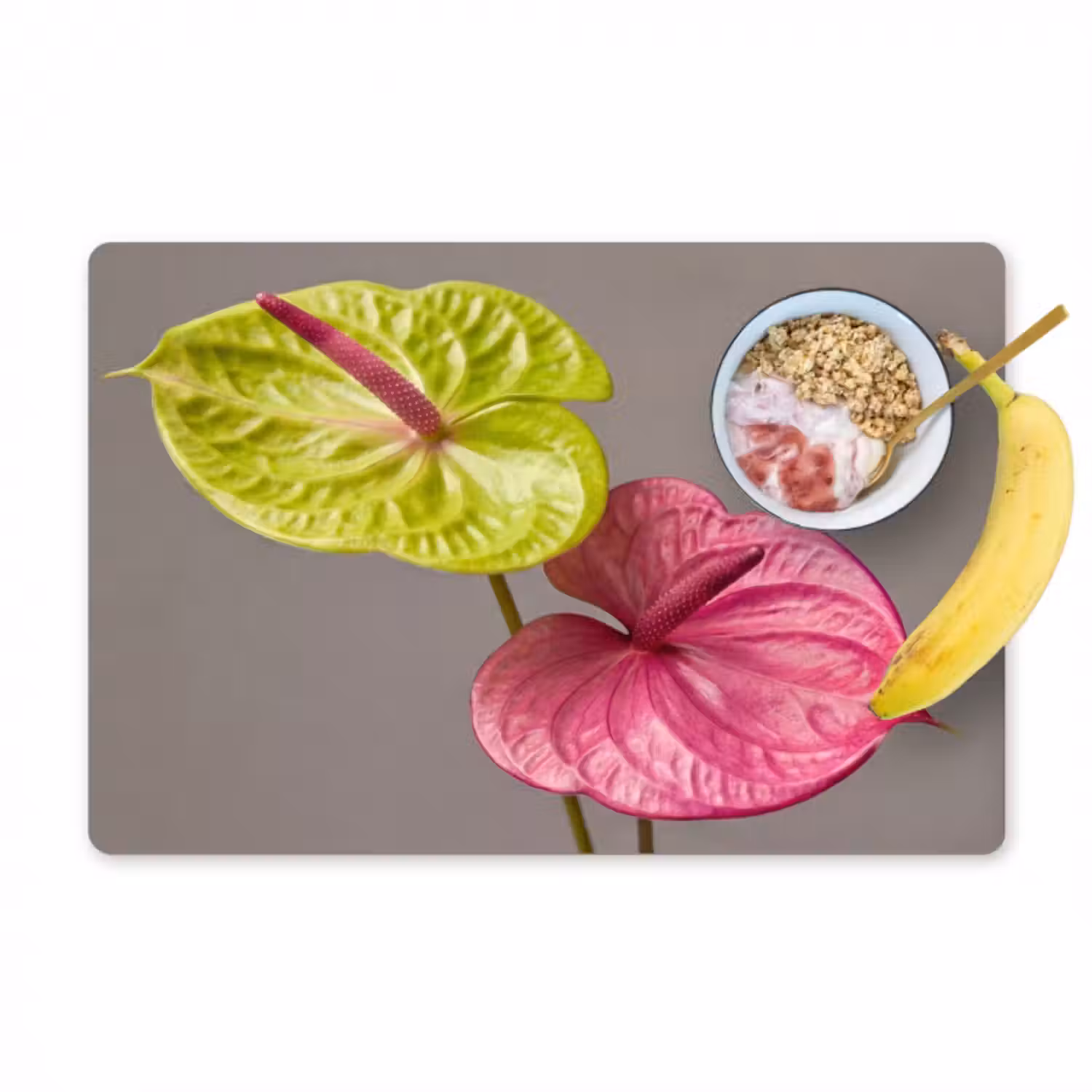 Tischset - 6 Stück - Pflanzen - Anthurium - Grün - Rosa