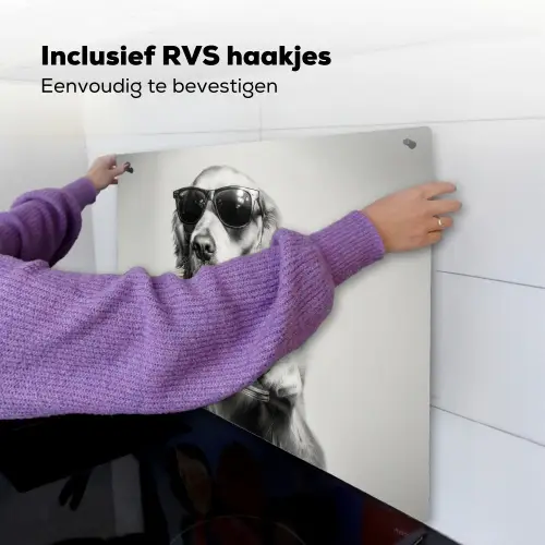 Golden retriever - Hond - Zonnebril - Gkas Inductie beschemer met haakjes middel -ky-ophangen-nl