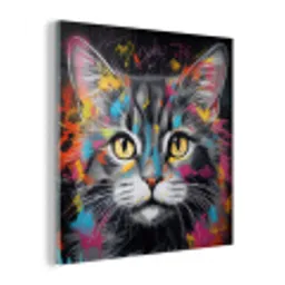 Kat - Graffiti - Dieren - Kleuren - Grijs plexiglas 5mm klein -z3d