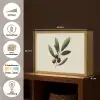 Olijftak - Donkergroen - Olijven Light Box met batterij (Wandlamp) middel -USP_websiteoverzichtNL