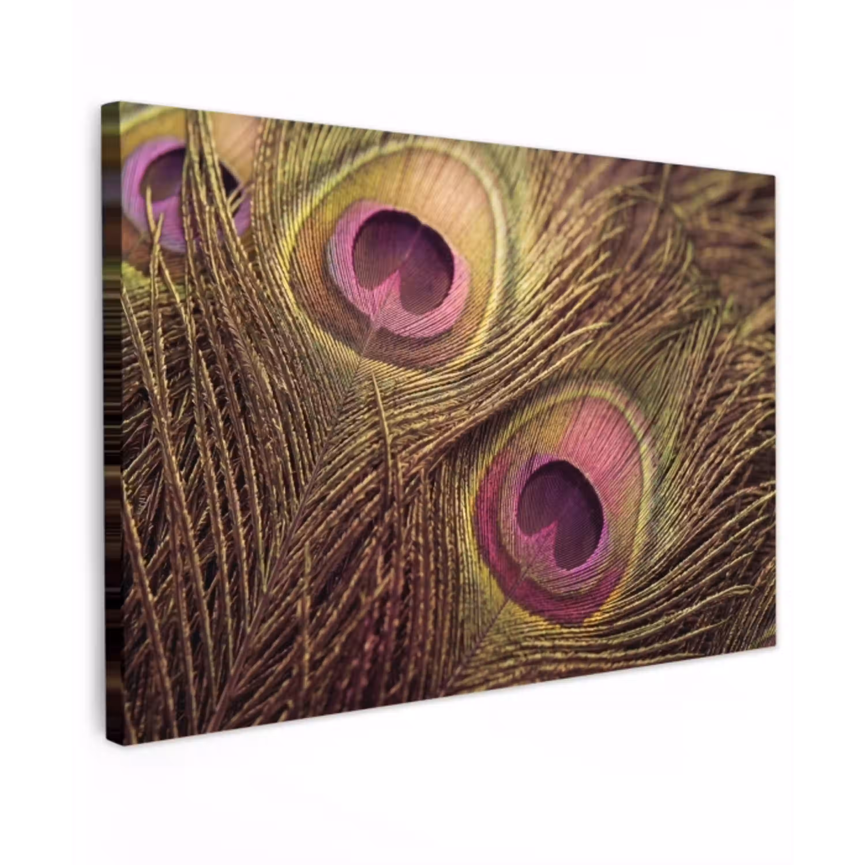 Pauw - Veren - Paars - Groen Tuinposter op houten frame 2 cm dik klein -3d