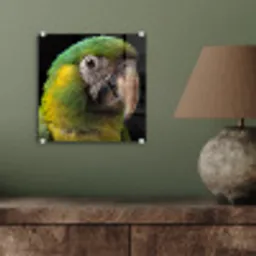 Ara - Portret - Groen plexiglas 5mm klein -sfeer3