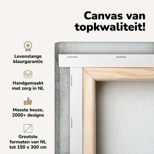 Beton - Grijs - Wit canvas 2cm middel -zzzsfeer2_topdoek