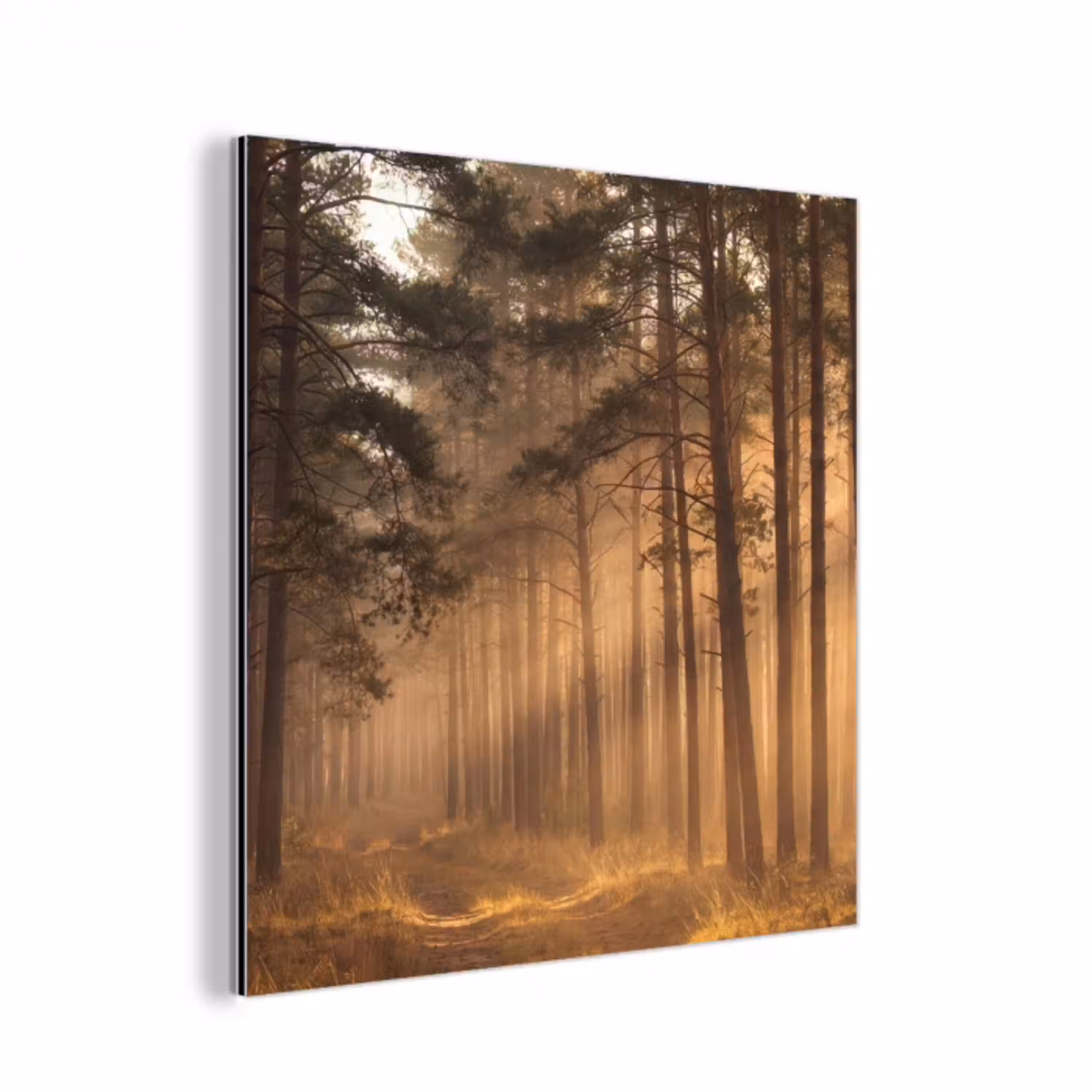 Bos - Mist - Zonlicht aluminium wit klein -3d