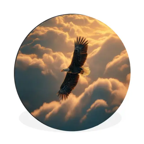 Adelaar - Wolken - Zon Wandcirkel aluminium klein -3d