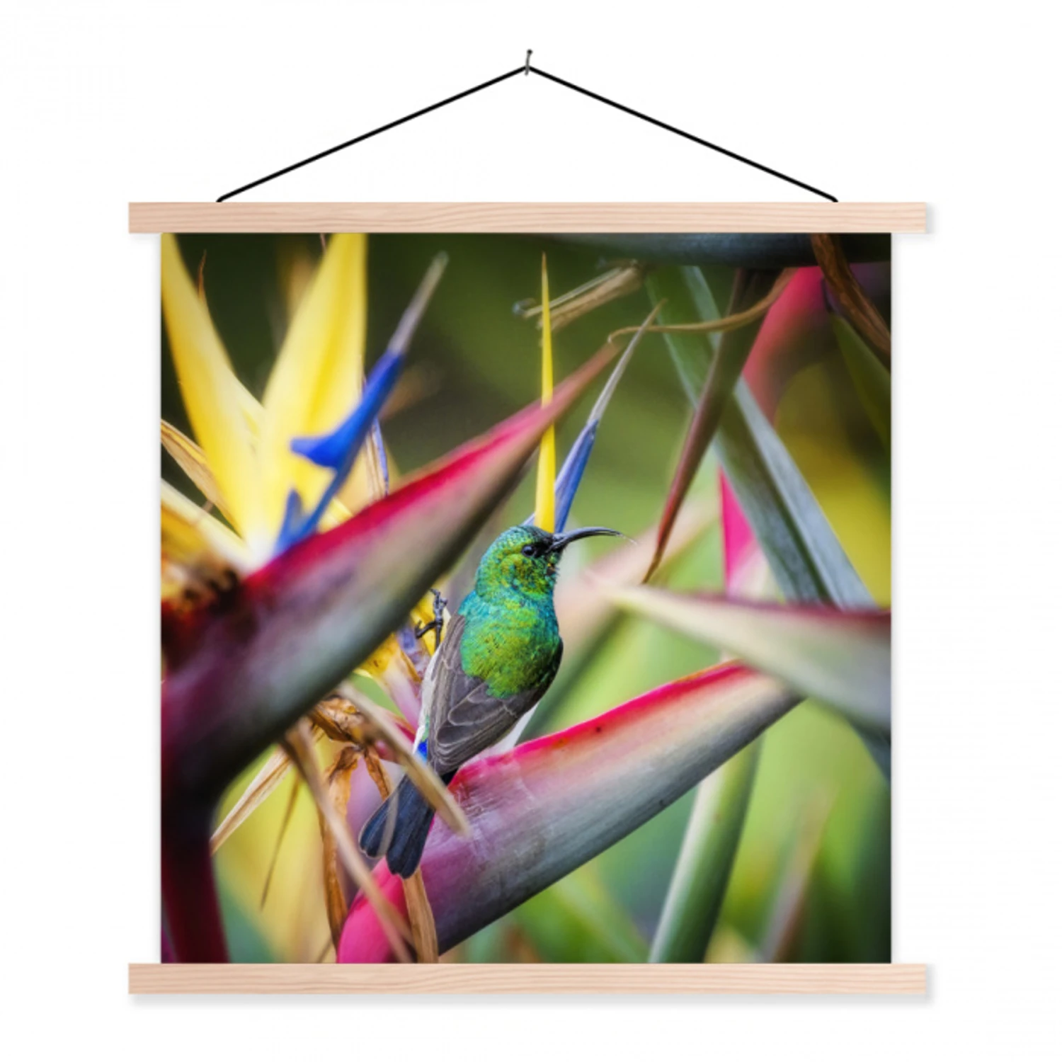 Kleurrijke vogel tussen allemaal kleurrijke platen textielposter latten blank klein -3d