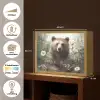 Bruine beer - Wilde dieren - Bloemen - Planten Light Box met batterij (Wandlamp) middel -USP_websiteoverzichtNL