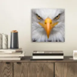 Amerikaans - Zeearend - Portret - Geel aluminium wit klein -sfeer1
