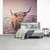Schotse hooglanders - Licht - Lucht - Natuur fotobehang vinyl groot -slaapkamer