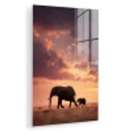 Olifanten - Grasland - Zonsondergang plexiglas 5mm klein -zzzproduct_nieuw
