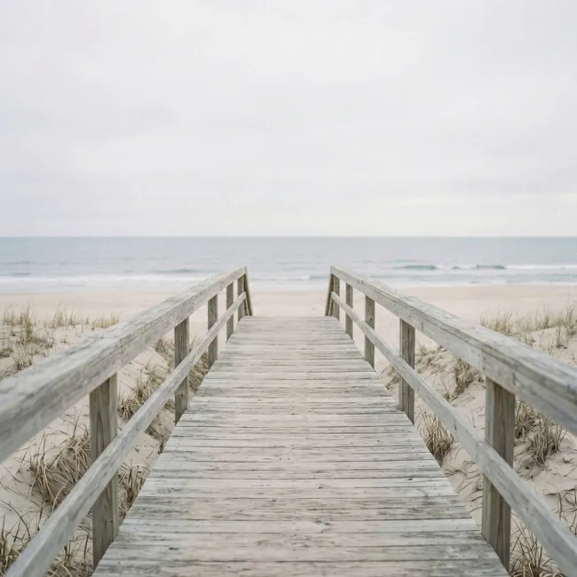 Behang - Duinen - Vlonder - Oceaan