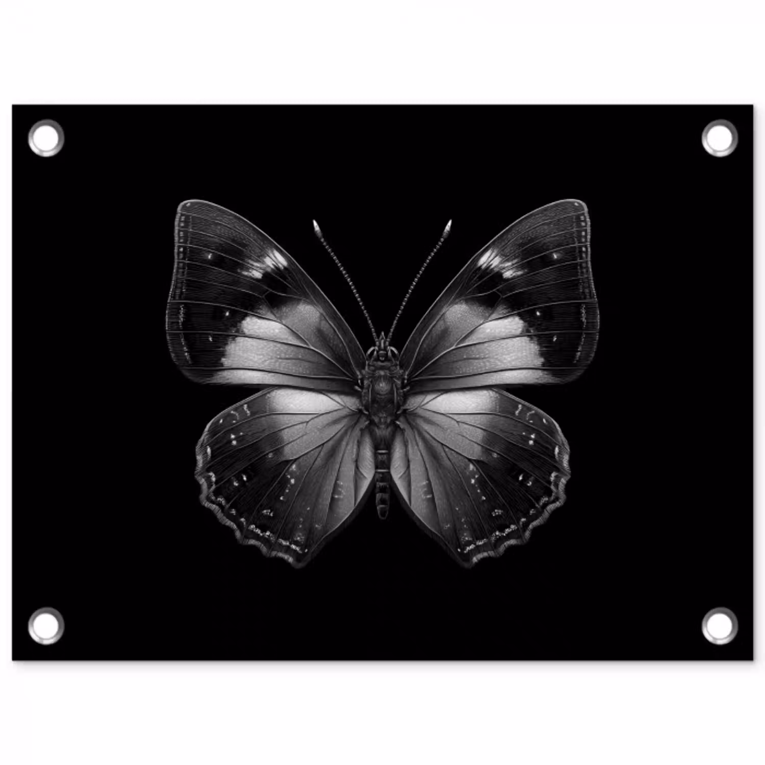 Vlinder - Grijs - Mysterieus tuinposter los doek klein -3d