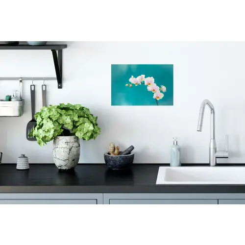 Orchidee - Bloemen - Plant - Wit - Paars Muursticker klein -keuken
