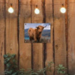 Hooglander bij het Meer tuinposter los doek klein -sfeer1