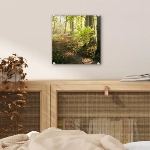 Bos - Bomen - Pad - Zon - Planten - Bladeren - Natuur plexiglas 5mm klein -sfeer4