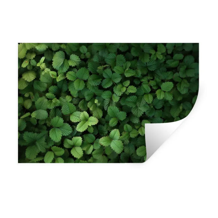 Groen - Bladeren - Kartel - Zonlicht Muursticker klein -3d