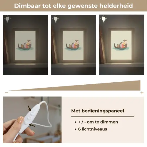 Otter - Strandbal - Kleurrijk Light Box met kabel klein -USP_dimbaarNL