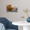 Schotse Hooglander - Dieren - Bruin - Koe - Zwart - Wit - Natuur poster papier klein -sfeer3