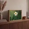 Narcis - Bloem - Wit - Grassprieten Light Box met batterij (Wandlamp) middel -sfeer2
