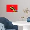 Kikker - Kleurrijk - Strepen - Ogen poster papier klein -sfeer3