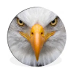 Amerikaans - Zeearend - Portret - Geel Wandcirkel aluminium klein -3d