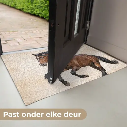 Paard - Galop - Energie Deurmat klein -USP_NL
