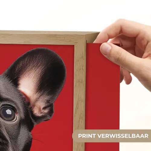 Amor - Hond  - Hartje - Rood Light Box met batterij (Wandlamp) middel -USP_websiteprintNL