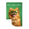 Hond - Zonnebril - Valentijn - Love Muursticker klein -3d