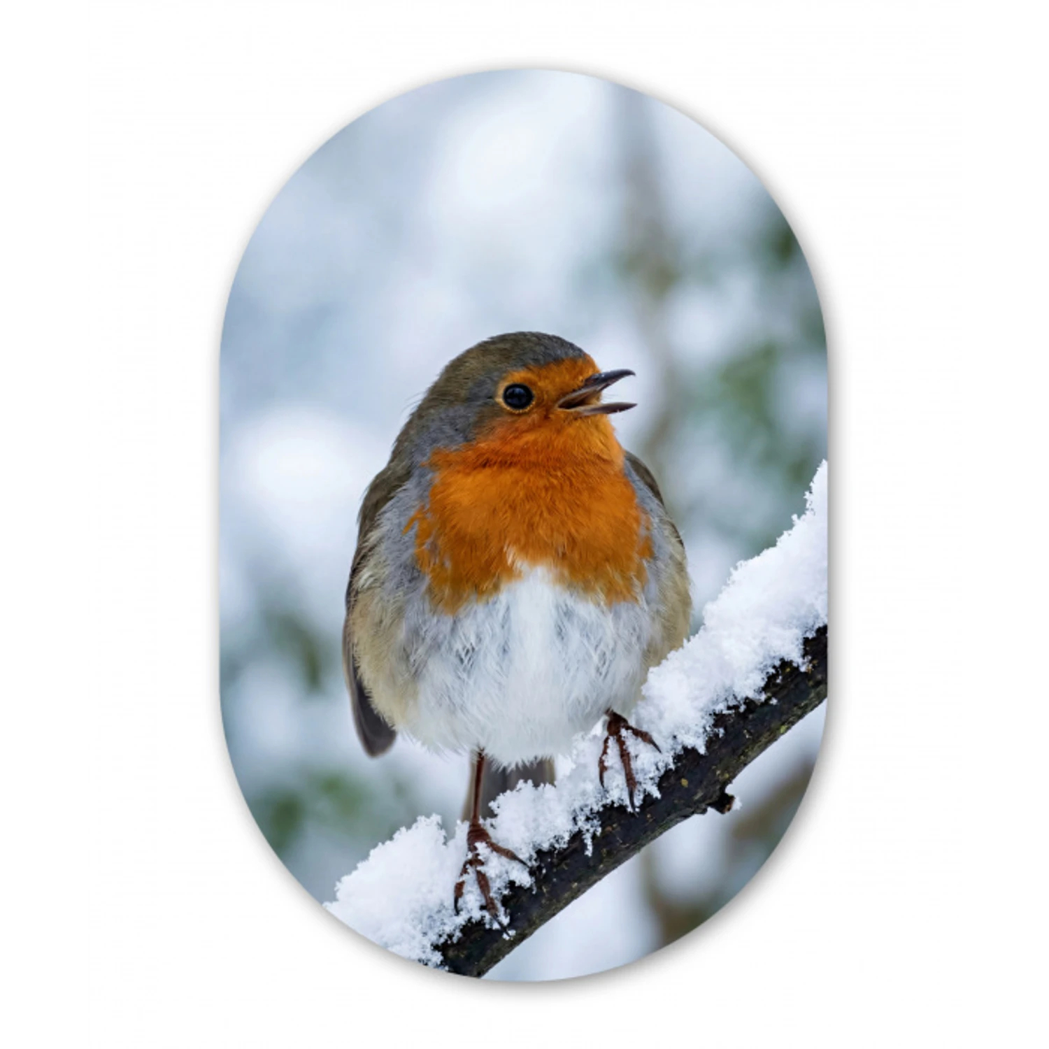 Roodborstje - Tak - Sneeuw - Winter - Levendig Wandcirkel Ovaal Aluminium middel -3d