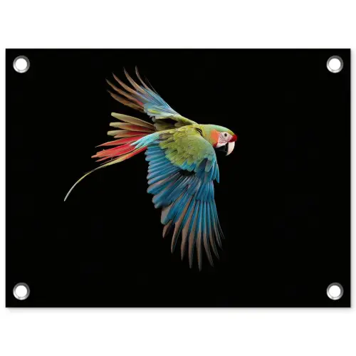 Papegaai - Kleurrijk - Vleugels - Sierlijk tuinposter los doek klein -3d