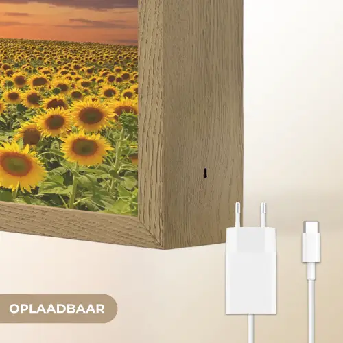 Bloemen - Zonnebloem - Zonsondergang - Nacht - Oranje Light Box met batterij (Wandlamp) middel -USP_websiteoplaadbaarNL
