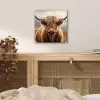 Schotse hooglander - Landschap - Dier plexiglas 5mm klein -sfeer4