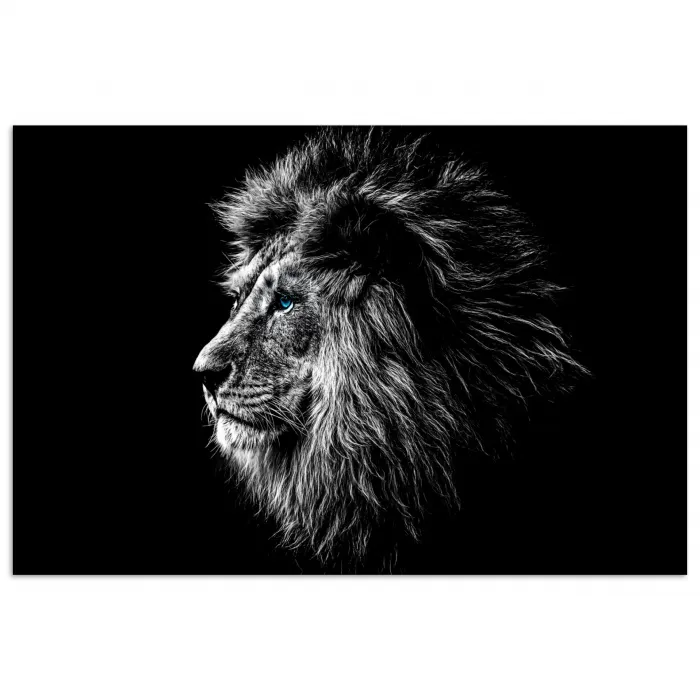 Zwart Wit - Leeuw - Kop - Dieren poster papier klein -3d