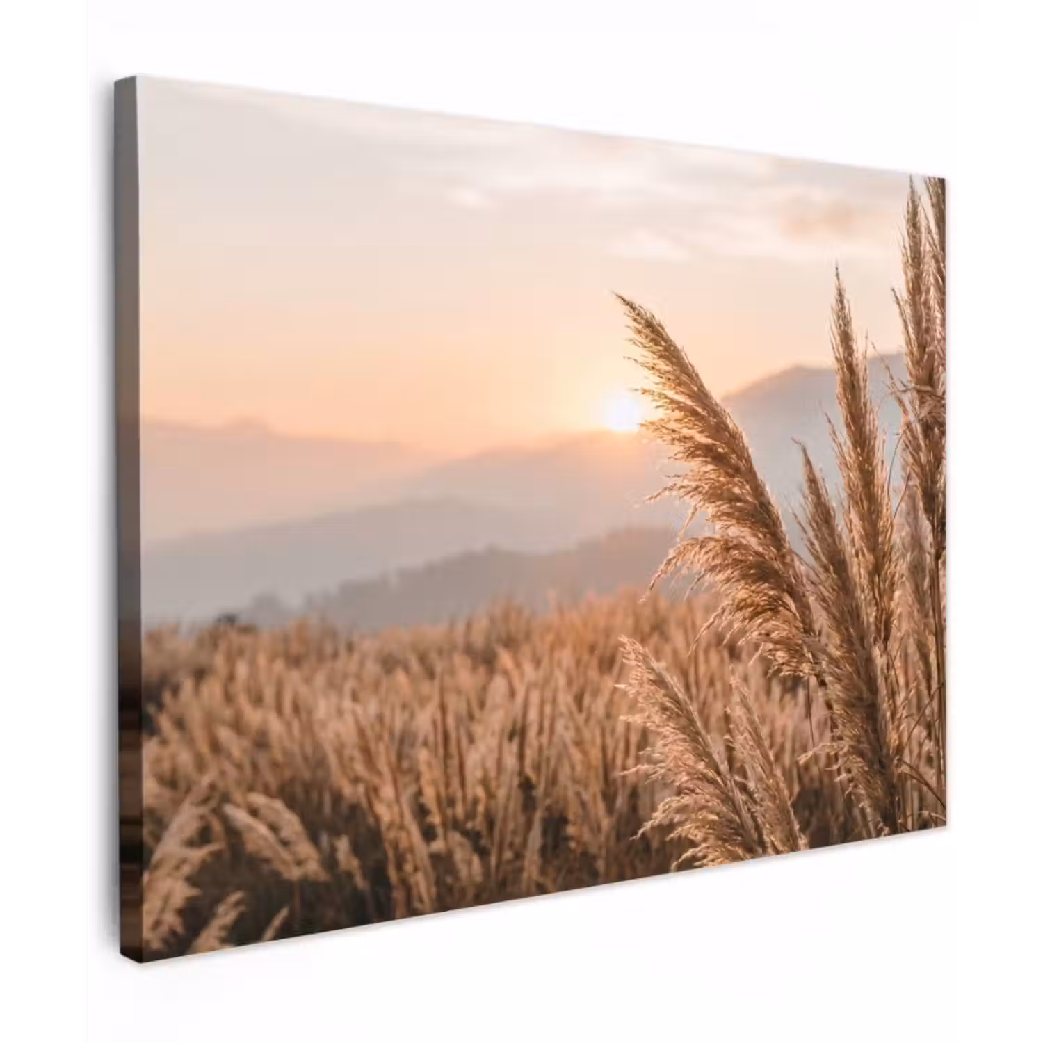 Canvas Print - Grass - Field - Sunset - Nature - Golden