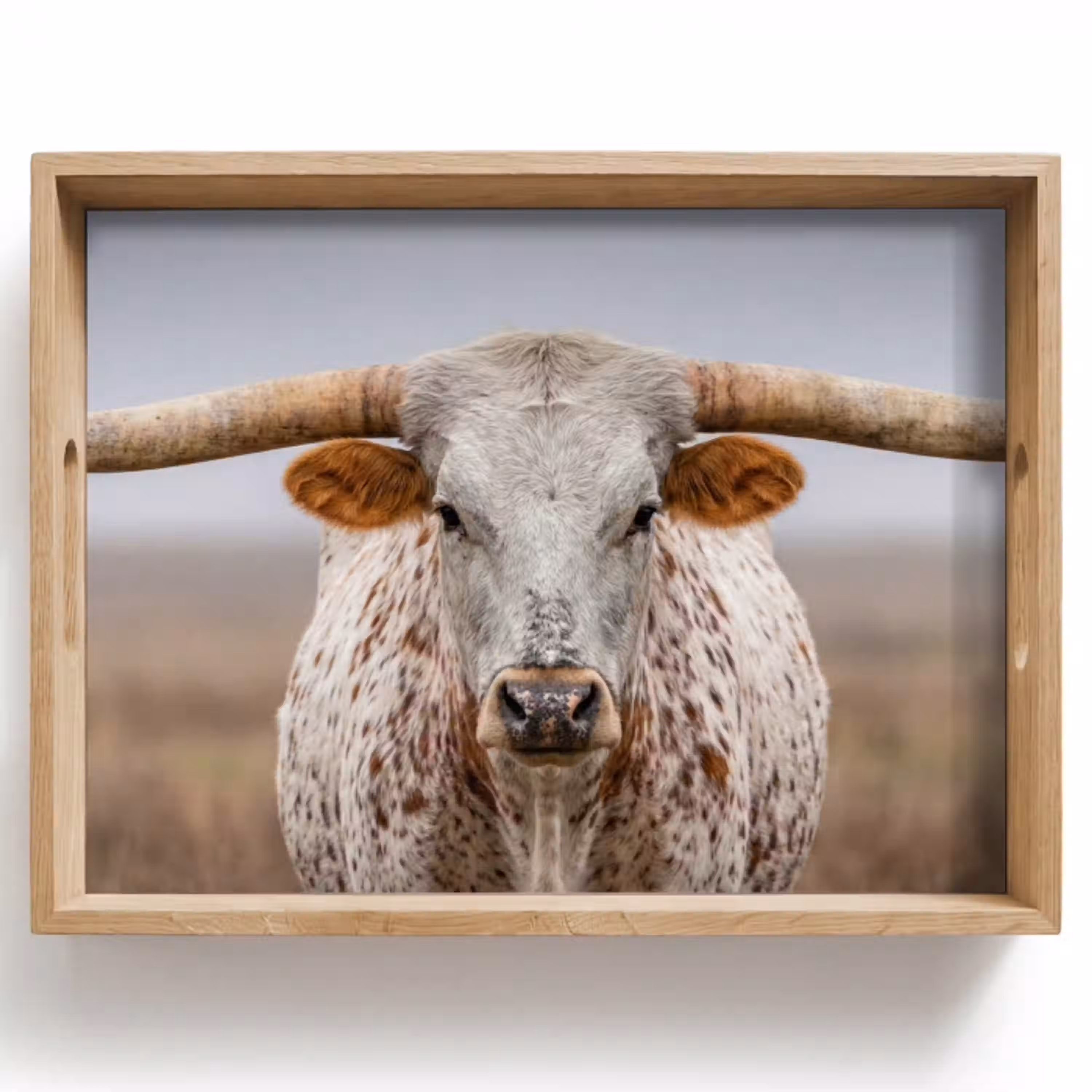 Longhorn - Grasveld - Dier Dienblad Rechthoek middel -z3d_shopping
